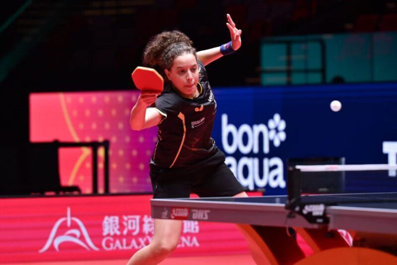 com, 尔及利亚的 com, 尔及利亚的