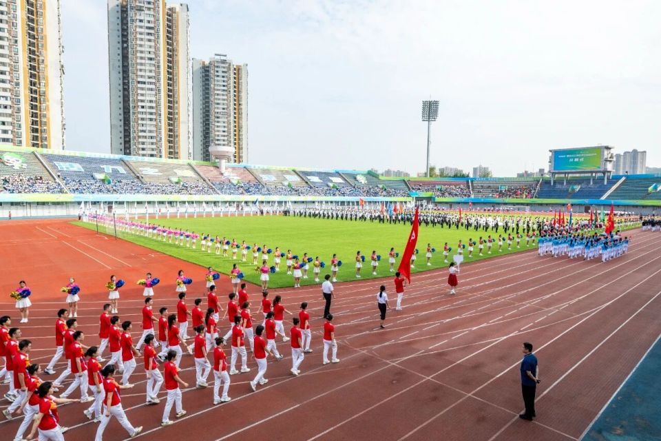 区各镇街 区各镇街